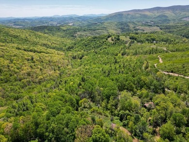 Recreational land near National Forest! Check out this 13.89 - photo 29