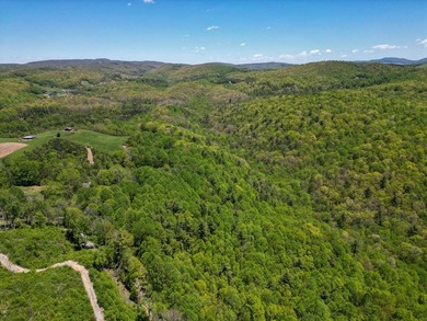 Recreational land near National Forest! Check out this 13.89 - photo 30