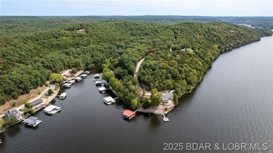 NEW Metal Roof is in the works!! Lakefront Retreat with 400+ - photo 46