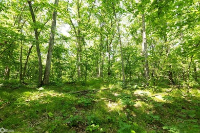 This Appanoose County property is an outstanding opportunity for - photo 50