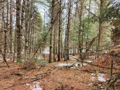 Lake Lot For Sale in Minocqua, Wisconsin
