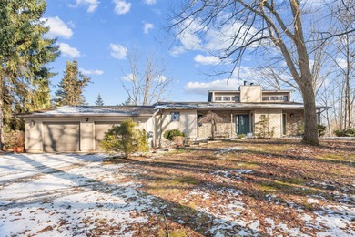 (private lake, pond, creek) Home For Sale in Belding Michigan