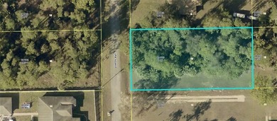 Lehigh Acres Area Lot For Sale in Lehigh Acres Florida