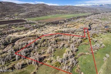 A once-in-a-generation opportunity to own 13 pristine acres - photo 5