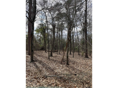 Lake Lot For Sale in Pittsburg, Texas