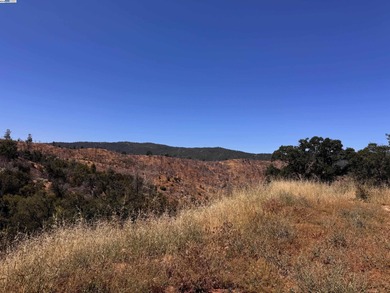 (private lake, pond, creek) Home For Sale in Livermore California