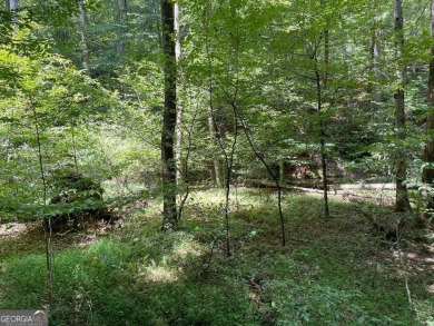 Lake Lot For Sale in Ellijay, Georgia