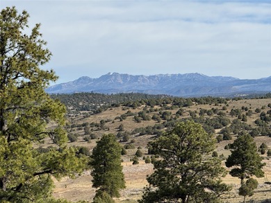 Heron Lake Acreage For Sale in Los Ojos New Mexico