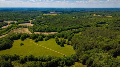 The Mooreville Farm | 431.67+/- | Lee County, MS Welcome to The - photo 11