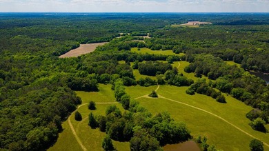 The Mooreville Farm | 431.67+/- | Lee County, MS Welcome to The - photo 14