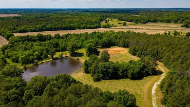 The Mooreville Farm | 431.67+/- | Lee County, MS Welcome to The - photo 17