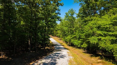 The Mooreville Farm | 431.67+/- | Lee County, MS Welcome to The - photo 18