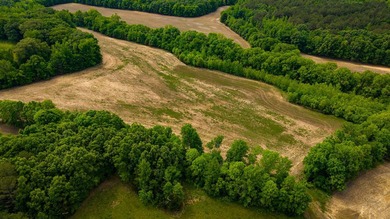 The Mooreville Farm | 431.67+/- | Lee County, MS Welcome to The - photo 21