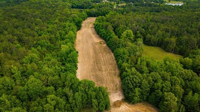 The Mooreville Farm | 431.67+/- | Lee County, MS Welcome to The - photo 22
