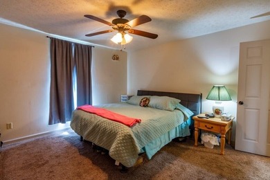 Spring City Ranch-Style Home with Watts Bar Community Lake - photo 22