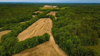 The Mooreville Farm | 431.67+/- | Lee County, MS Welcome to The - photo 23