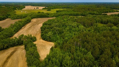The Mooreville Farm | 431.67+/- | Lee County, MS Welcome to The - photo 24