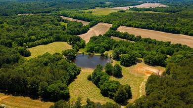 The Mooreville Farm | 431.67+/- | Lee County, MS Welcome to The - photo 25