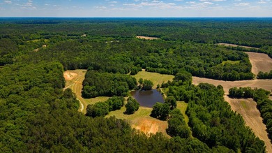 The Mooreville Farm | 431.67+/- | Lee County, MS Welcome to The - photo 26