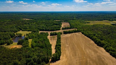The Mooreville Farm | 431.67+/- | Lee County, MS Welcome to The - photo 27