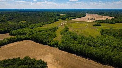 The Mooreville Farm | 431.67+/- | Lee County, MS Welcome to The - photo 29