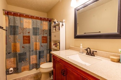 Spring City Ranch-Style Home with Watts Bar Community Lake - photo 29
