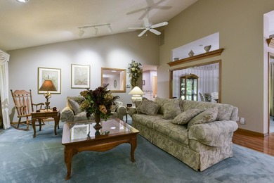 Lake Taneycomo home for sale. Welcome to 130 Misty Mountain in - photo 30