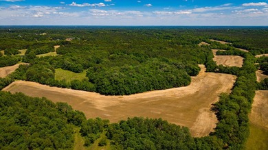 The Mooreville Farm | 431.67+/- | Lee County, MS Welcome to The - photo 30
