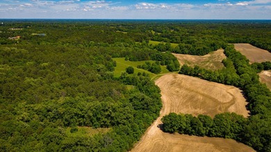 The Mooreville Farm | 431.67+/- | Lee County, MS Welcome to The - photo 31