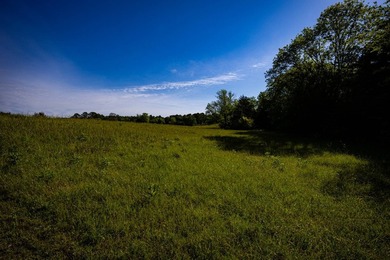 The Mooreville Farm | 431.67+/- | Lee County, MS Welcome to The - photo 33