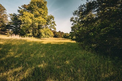 The Mooreville Farm | 431.67+/- | Lee County, MS Welcome to The - photo 35