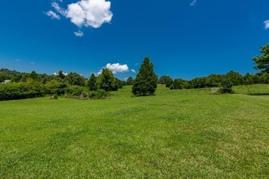 Spring City Ranch-Style Home with Watts Bar Community Lake - photo 36