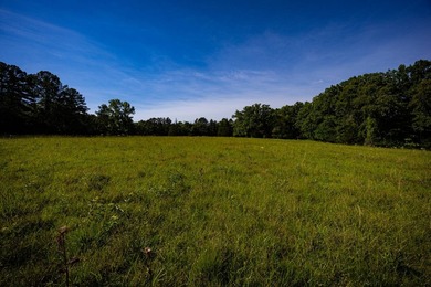 The Mooreville Farm | 431.67+/- | Lee County, MS Welcome to The - photo 37