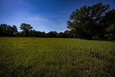 The Mooreville Farm | 431.67+/- | Lee County, MS Welcome to The - photo 39