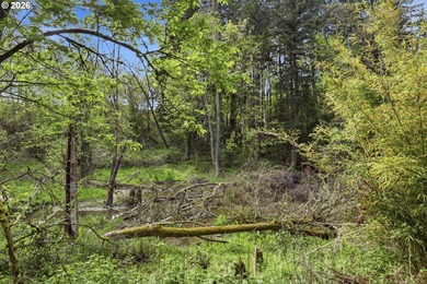 Welcome to this well maintained former model home in the - photo 39