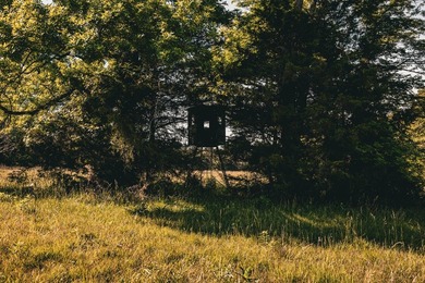 The Mooreville Farm | 431.67+/- | Lee County, MS Welcome to The - photo 40