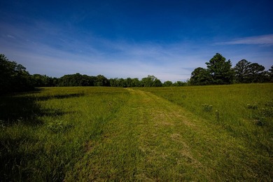 The Mooreville Farm | 431.67+/- | Lee County, MS Welcome to The - photo 41