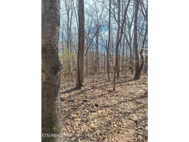 Unrestricted acreage bordering Melton Hill Lake in Hardin Valley - photo 3