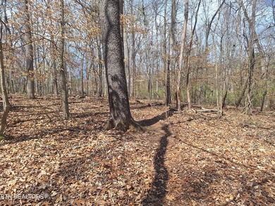 Unrestricted acreage bordering Melton Hill Lake in Hardin Valley - photo 4