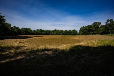 The Mooreville Farm | 431.67+/- | Lee County, MS Welcome to The - photo 44