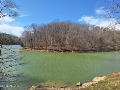 Unrestricted acreage bordering Melton Hill Lake in Hardin Valley - photo 5