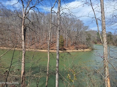 Unrestricted acreage bordering Melton Hill Lake in Hardin Valley - photo 6