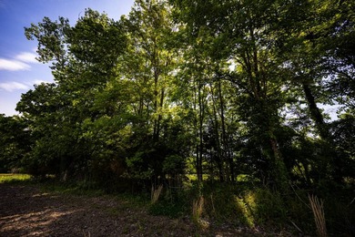 The Mooreville Farm | 431.67+/- | Lee County, MS Welcome to The - photo 46