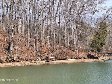 Unrestricted acreage bordering Melton Hill Lake in Hardin Valley - photo 7