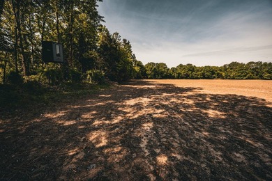The Mooreville Farm | 431.67+/- | Lee County, MS Welcome to The - photo 47