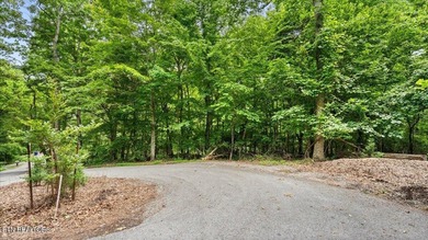 Unrestricted acreage bordering Melton Hill Lake in Hardin Valley - photo 8
