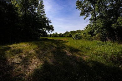 The Mooreville Farm | 431.67+/- | Lee County, MS Welcome to The - photo 48