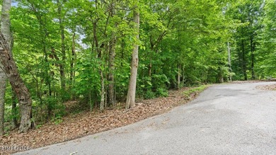 Unrestricted acreage bordering Melton Hill Lake in Hardin Valley - photo 9
