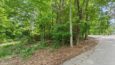 Unrestricted acreage bordering Melton Hill Lake in Hardin Valley - photo 10