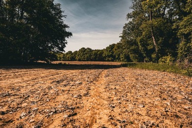 The Mooreville Farm | 431.67+/- | Lee County, MS Welcome to The - photo 50